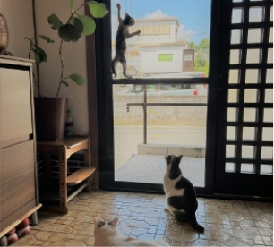 特徴1