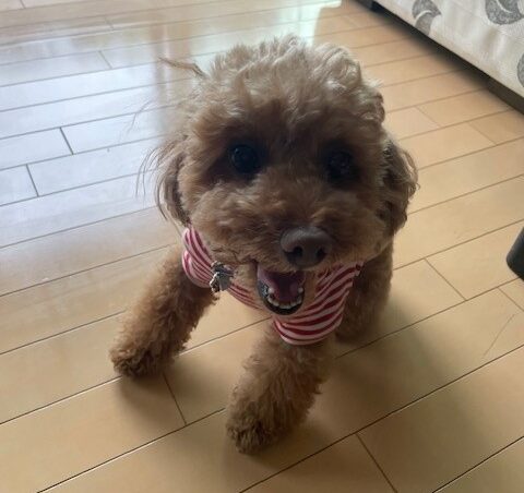 K様邸　床コーティング