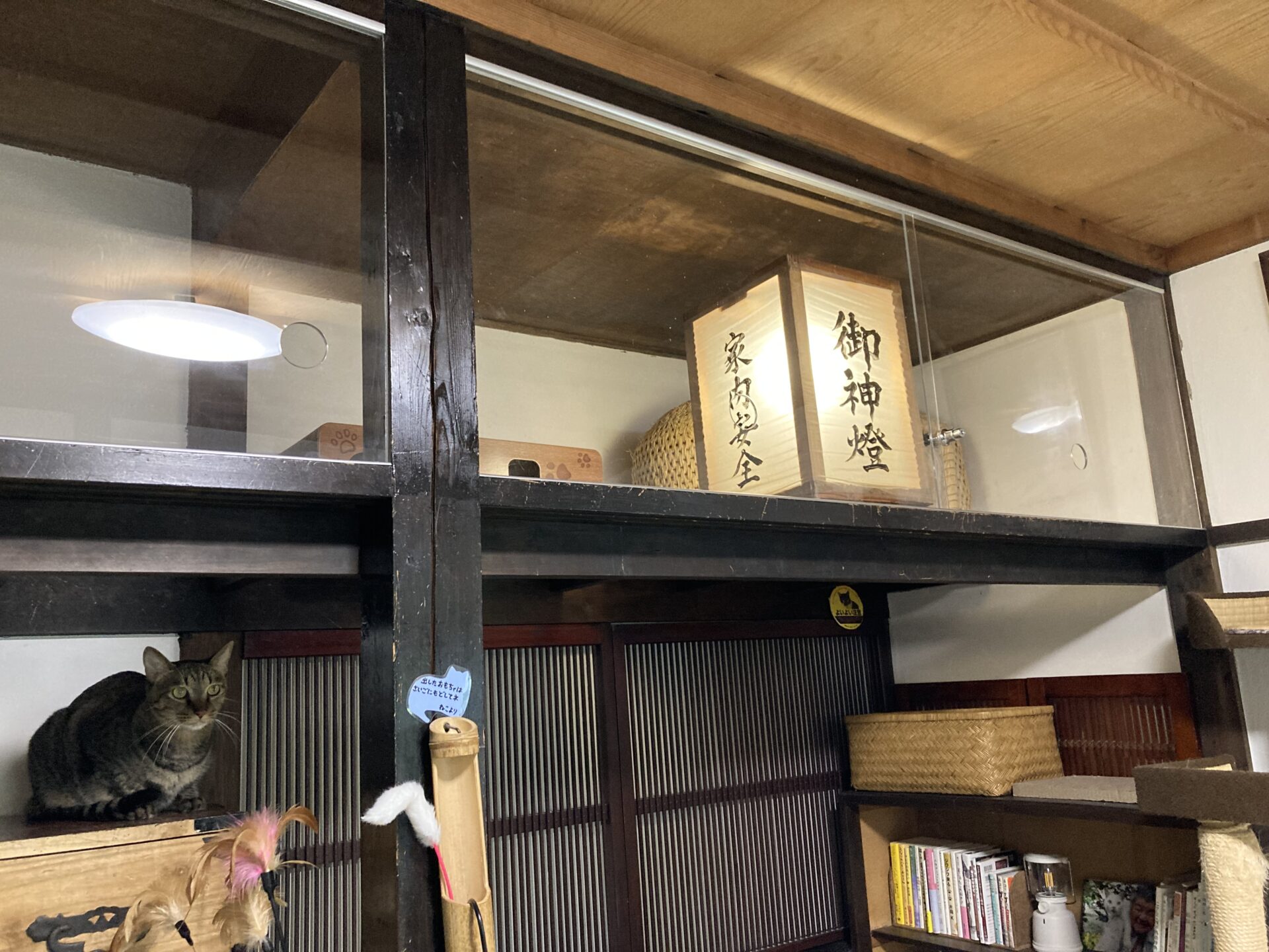 里親さがし猫カフェおっぽ様　鍵付きアクリル引き違い戸