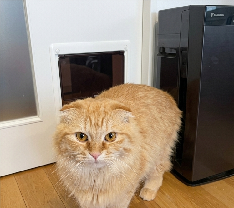 冷暖房効率UP！ペットドア取付加工